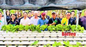 img-20,000 kakitangan Maybank seluruh dunia laksana tanggungjawab social